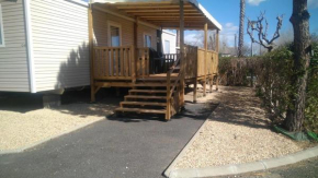 Mobil-Home Oliviers 1